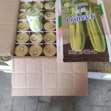芹菜苗，品种，皇冠，法国皇后等各种精品芹菜苗
