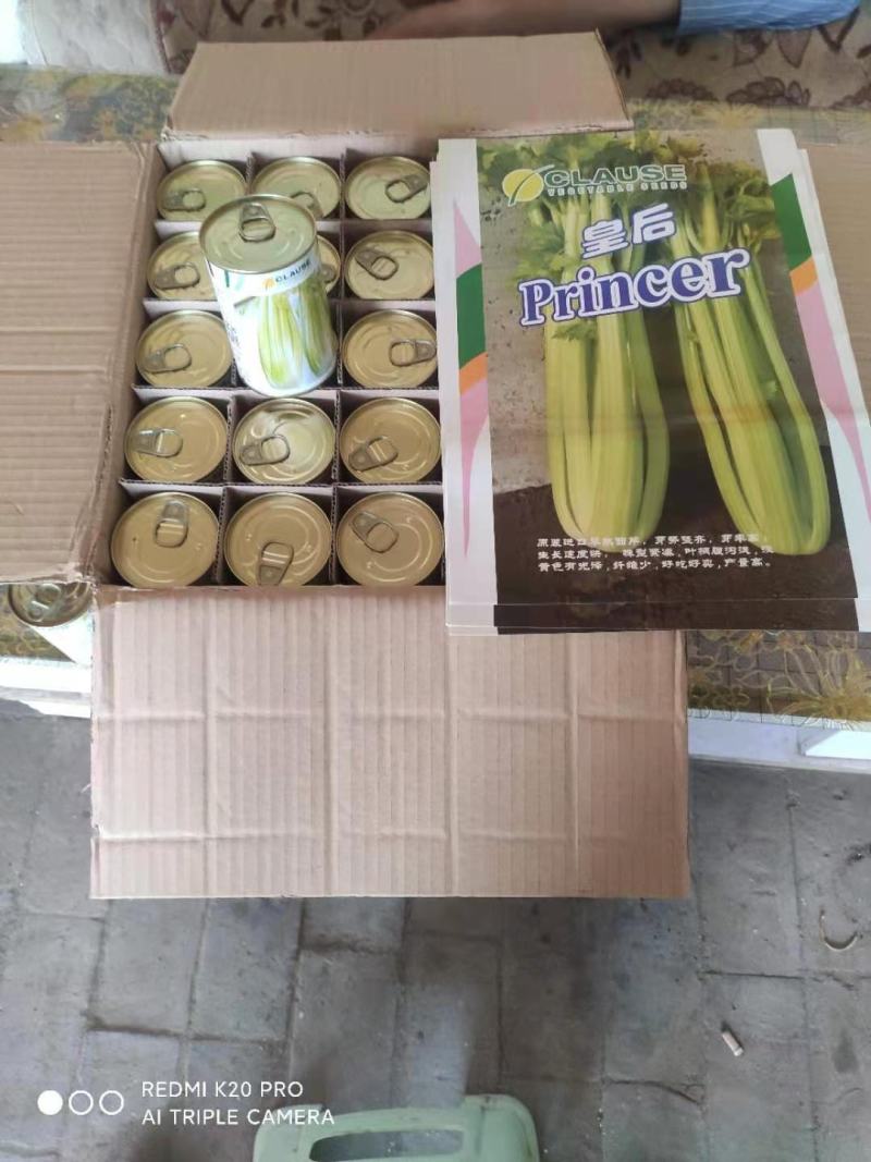芹菜苗，品种，皇冠，法国皇后等各种精品芹菜苗
