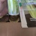芹菜苗，品种，皇冠，法国皇后等各种精品芹菜苗