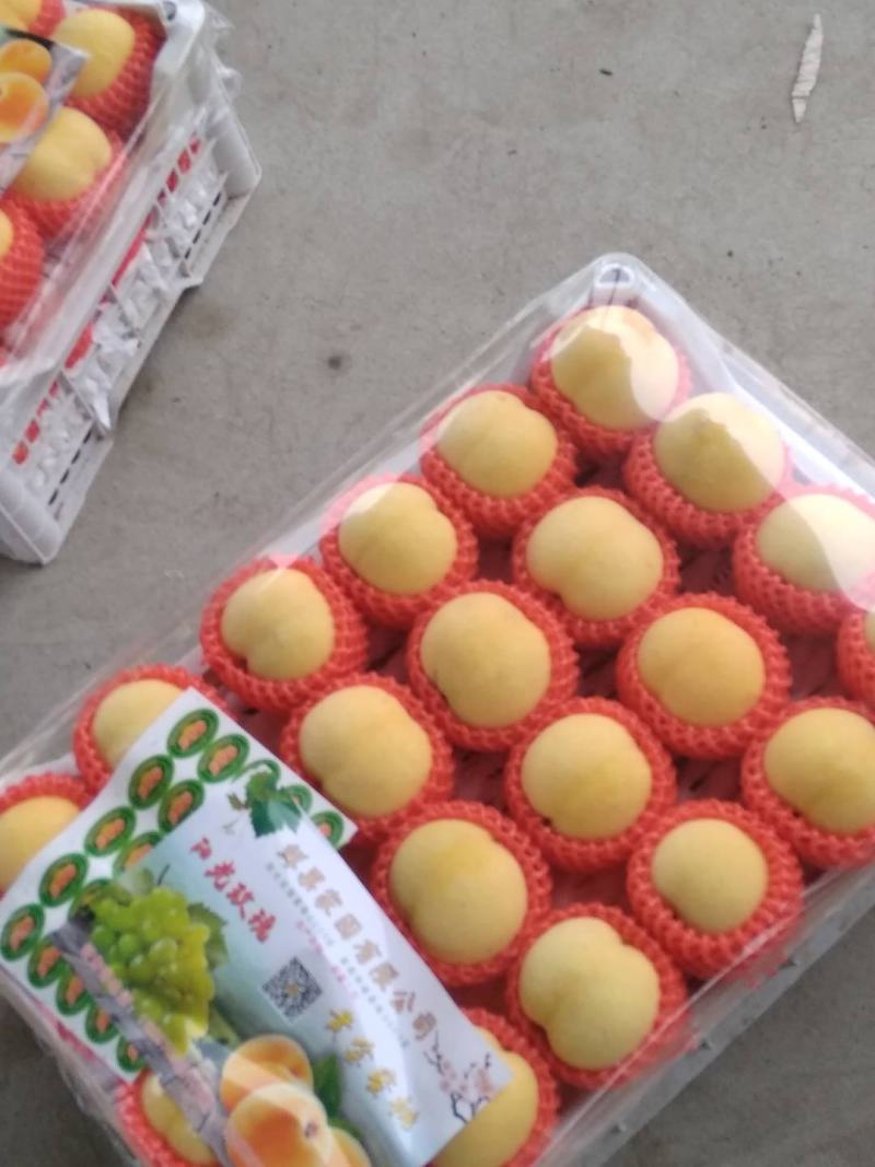 湖北黄桃，锦绣黄桃黄金蜜大量上市，产地现摘现发，多购优惠