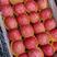 红富士苹果批发山东苹果产地销早，中，晚苹果脆甜