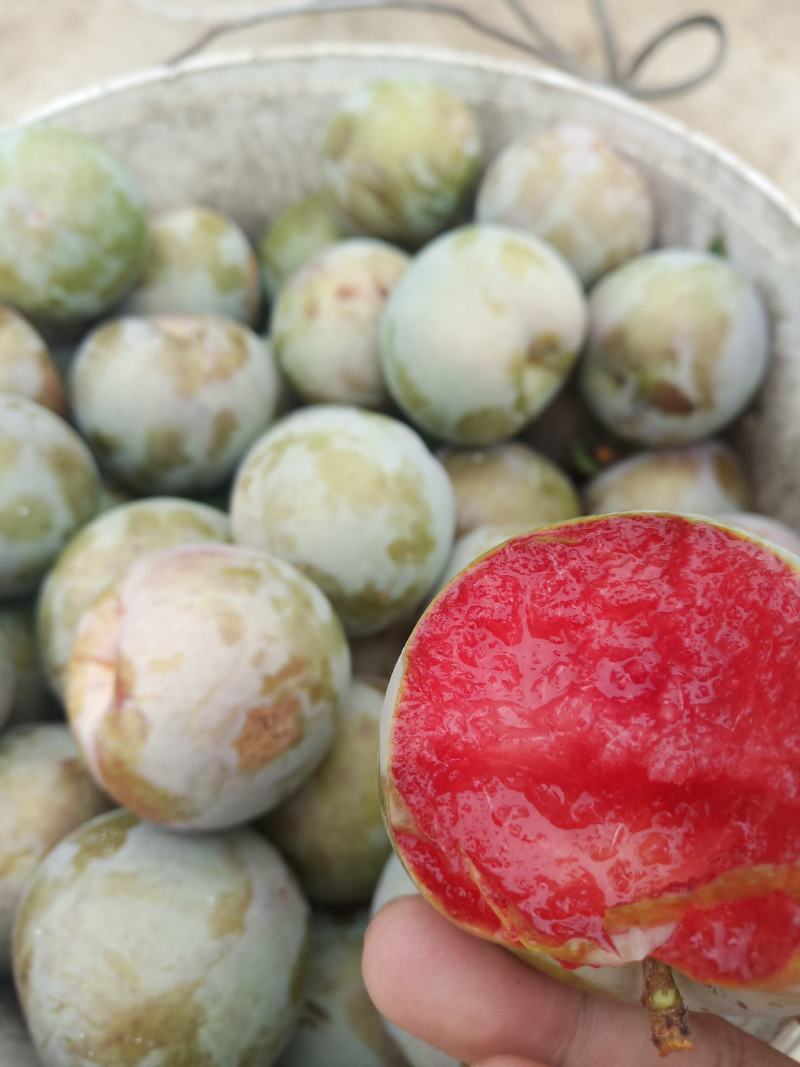 味帝李子，青皮红肉皮薄多汁