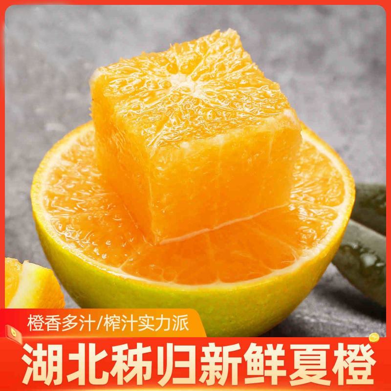 精品秭归夏橙挂树鲜果产地直发酸甜多汁新鲜上市