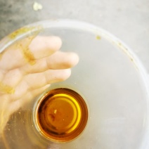 油菜籽