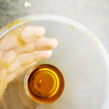 油菜籽