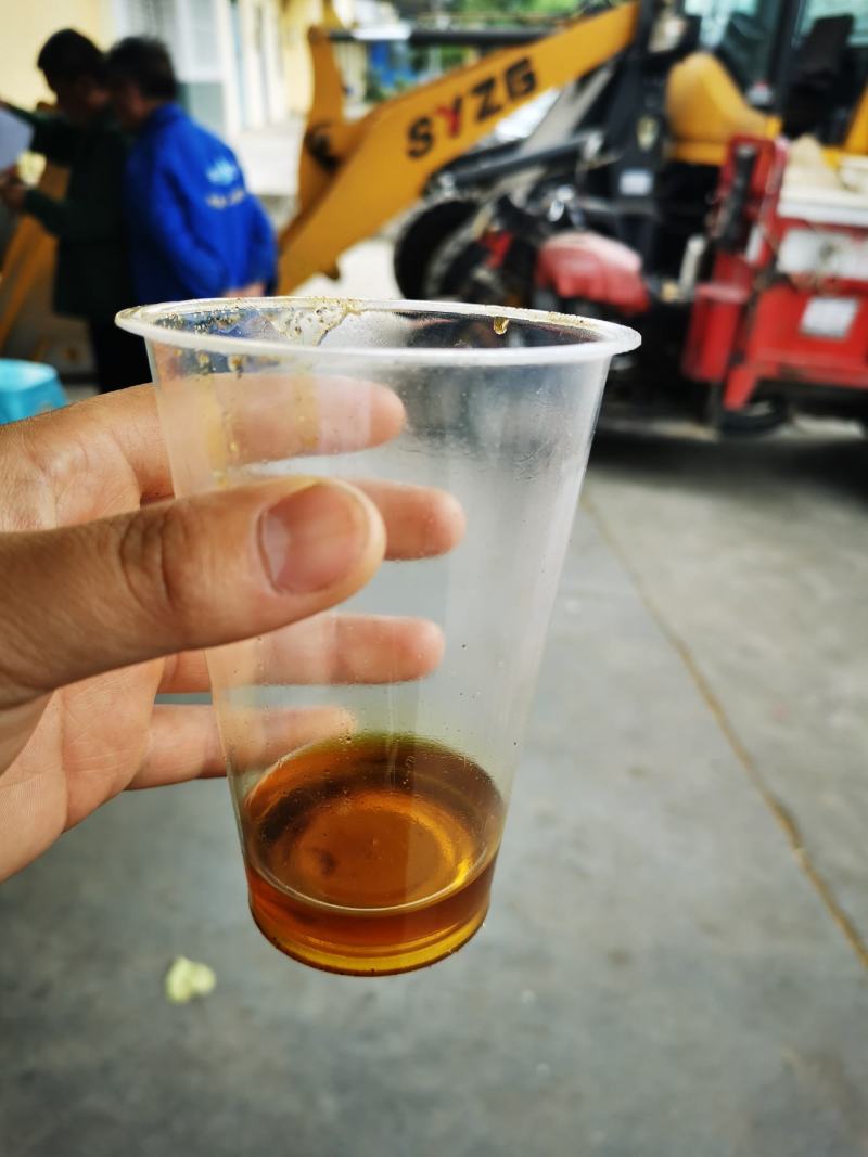 油菜籽