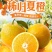 精品秭归夏橙挂树鲜果产地直发酸甜多汁新鲜上市