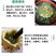 【产地】湛江火参果新鲜水果大刺角瓜非洲蜜瓜火星果包邮