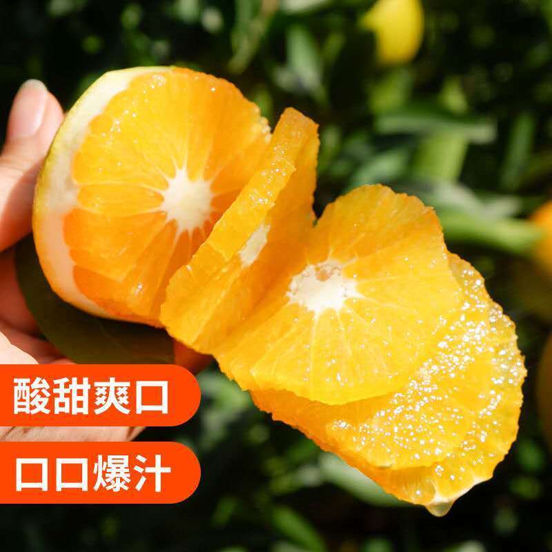 精品秭归夏橙一件代发5斤10斤包邮支持微商电商供货质量保