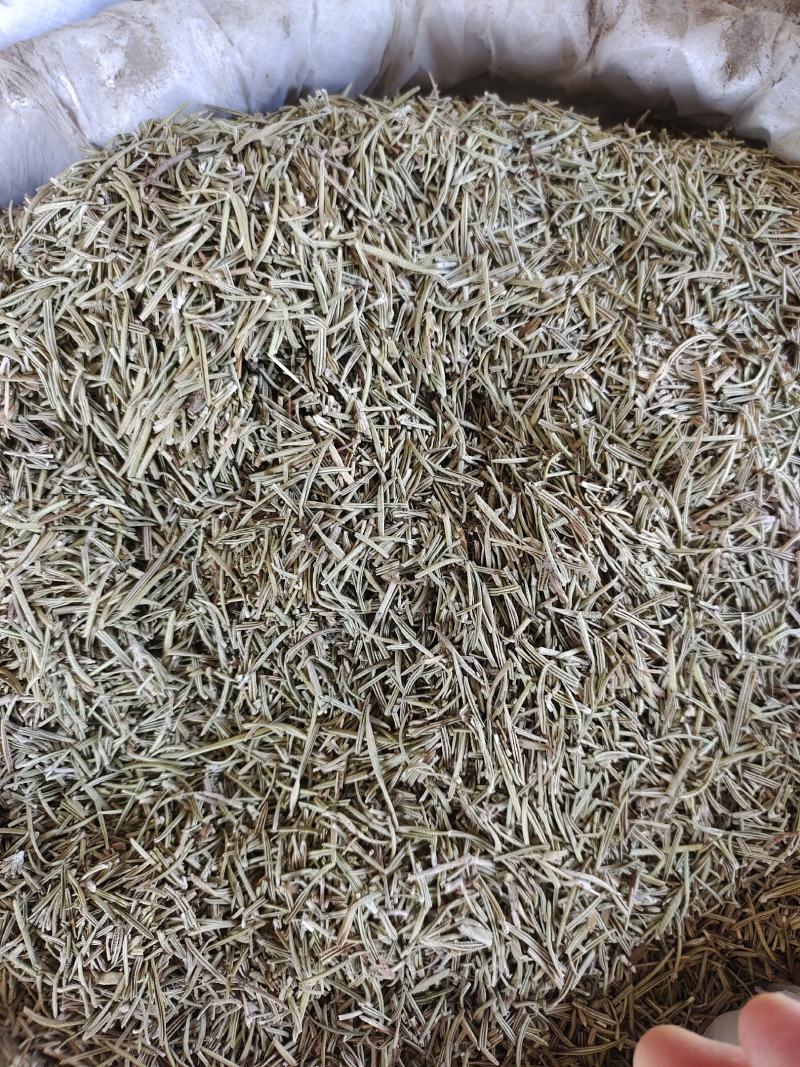 迷迭香西餐调味料迷迭香迷迭香干叶迷迭香叶