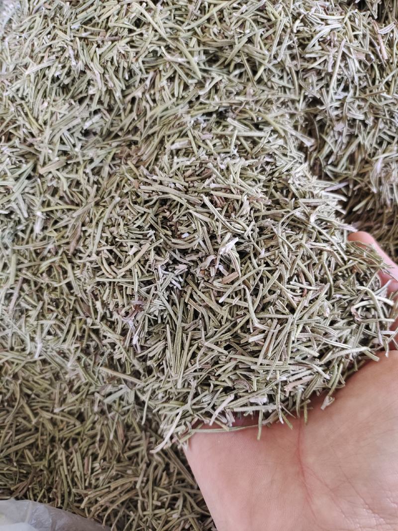 迷迭香西餐调味料迷迭香迷迭香干叶迷迭香叶