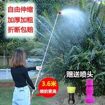 3.6米不锈钢伸缩杆果树射高喷头农用电动打药喷雾器加长