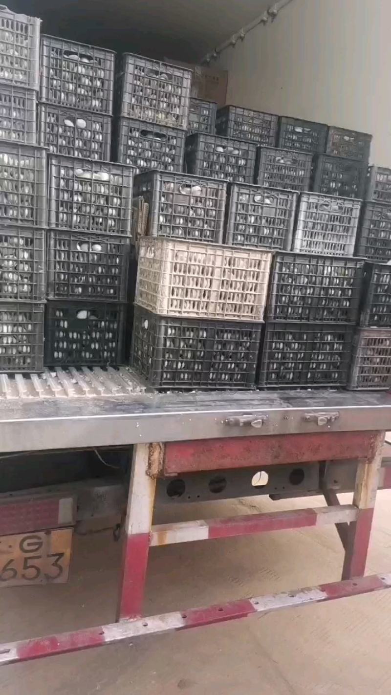 徐州特产，松花皮蛋，麻壳光蛋，地摊货，旅游礼品，赶集货源