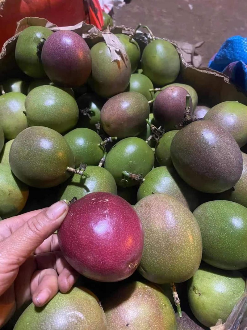百香果，货源多，
