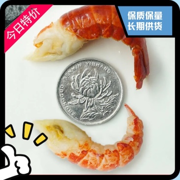 虾尾龙虾尾物美价廉整车零担批发电商互惠共赢