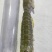 虾