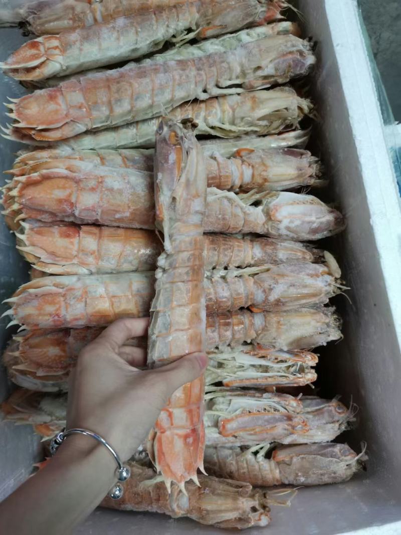 虾