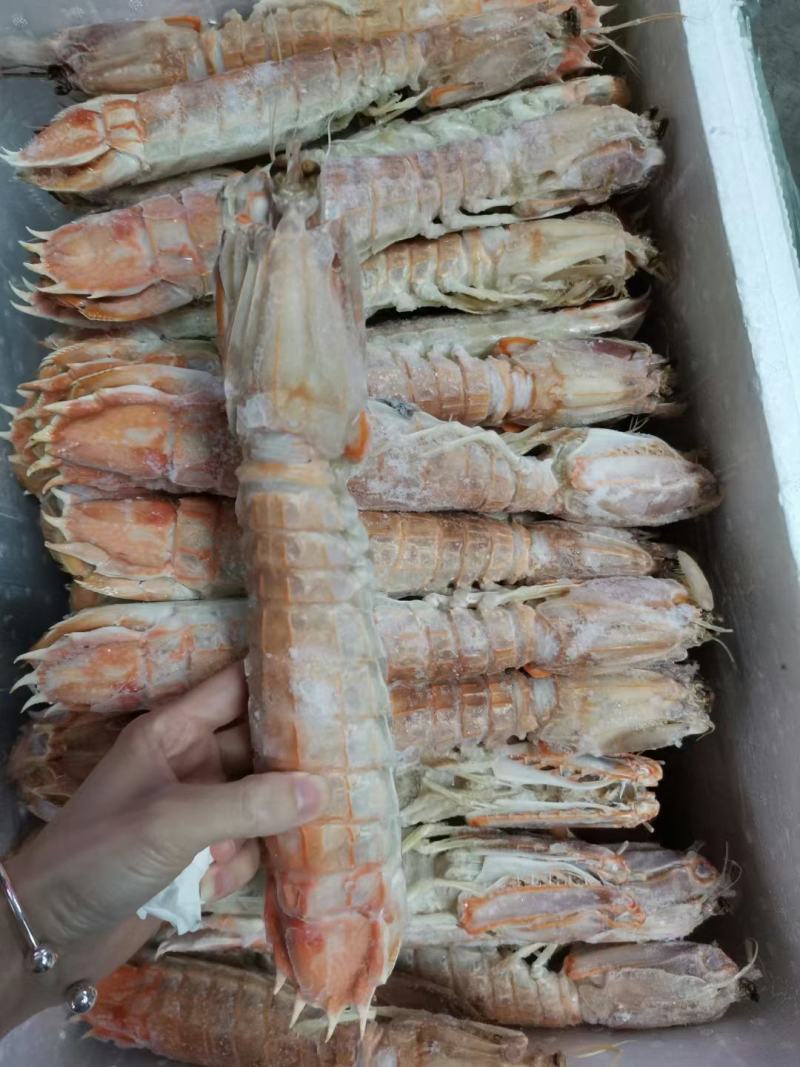 虾