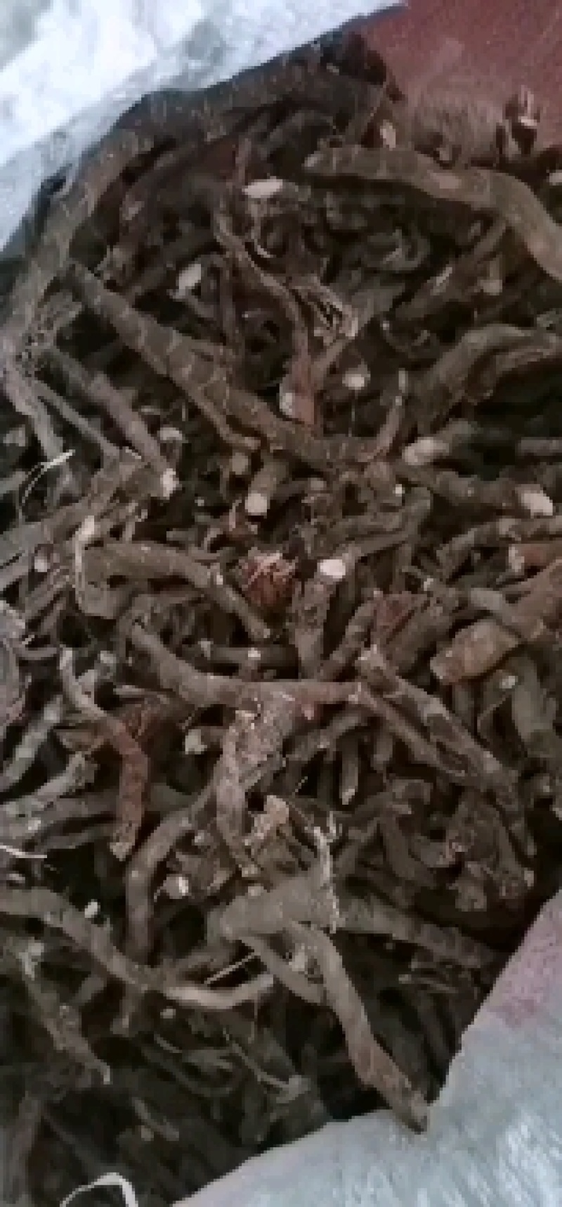 石菖蒲，干度好无毛需要联系
