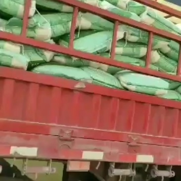长期大量供应国内国外优质碎米白米无黄无味色泽一致价格优惠