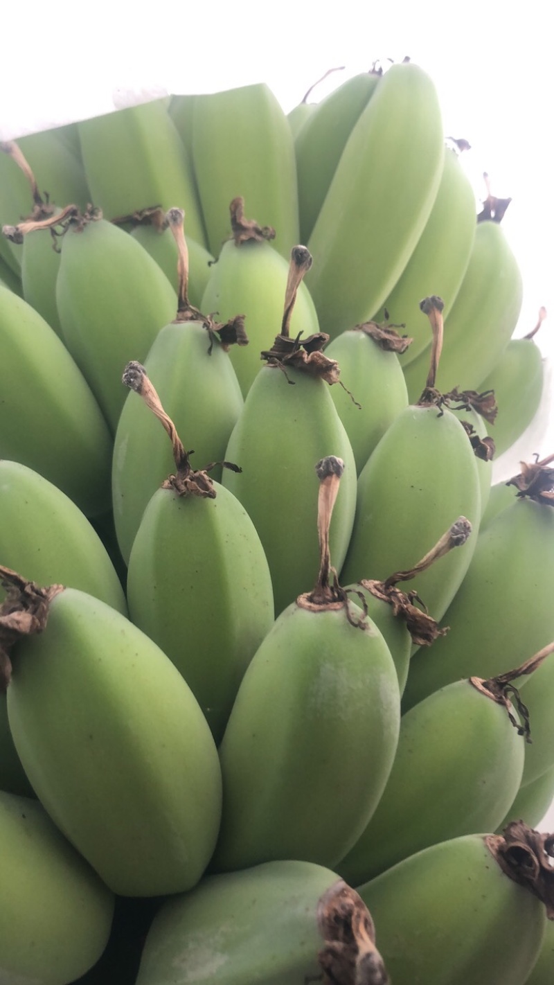 苹果蕉