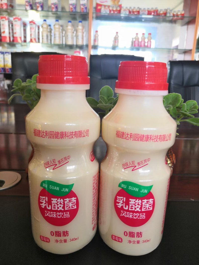 达利园乳酸菌益生菌AD丐乳酸菌全国招商