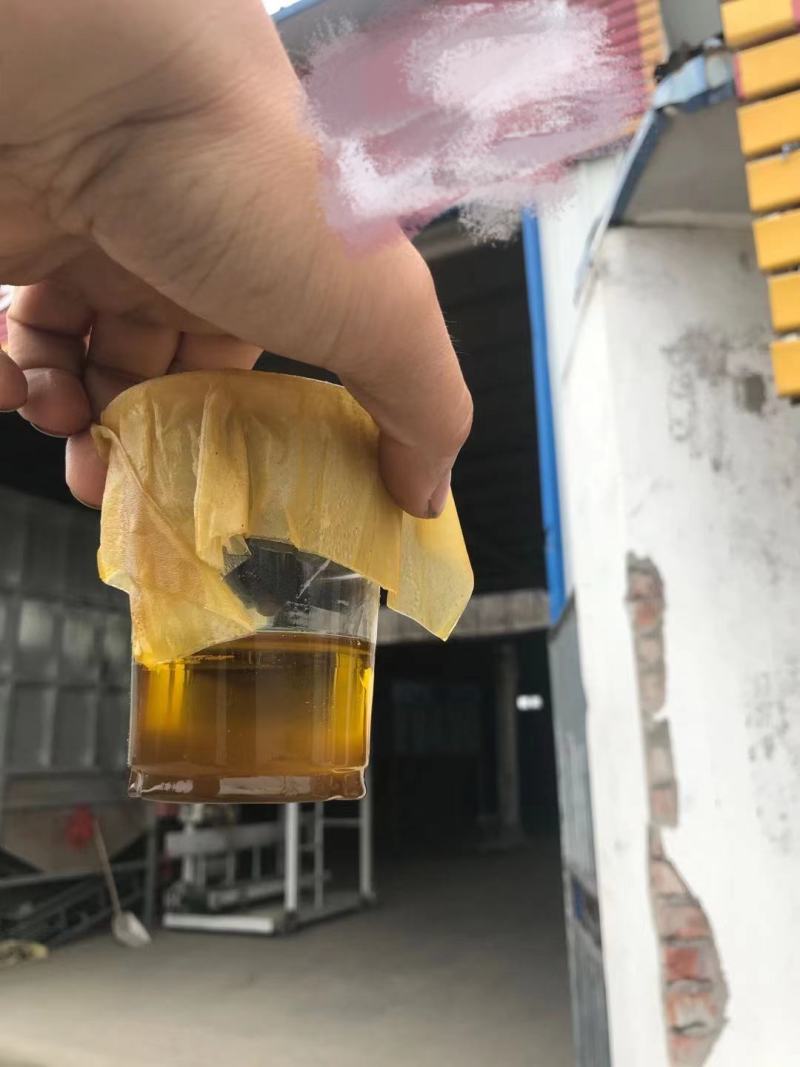 本地菜籽江苏菜籽味道香油色上等新菜籽大量上市