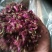平阴玫瑰花沫子花托子玫瑰原产地种植加工基地