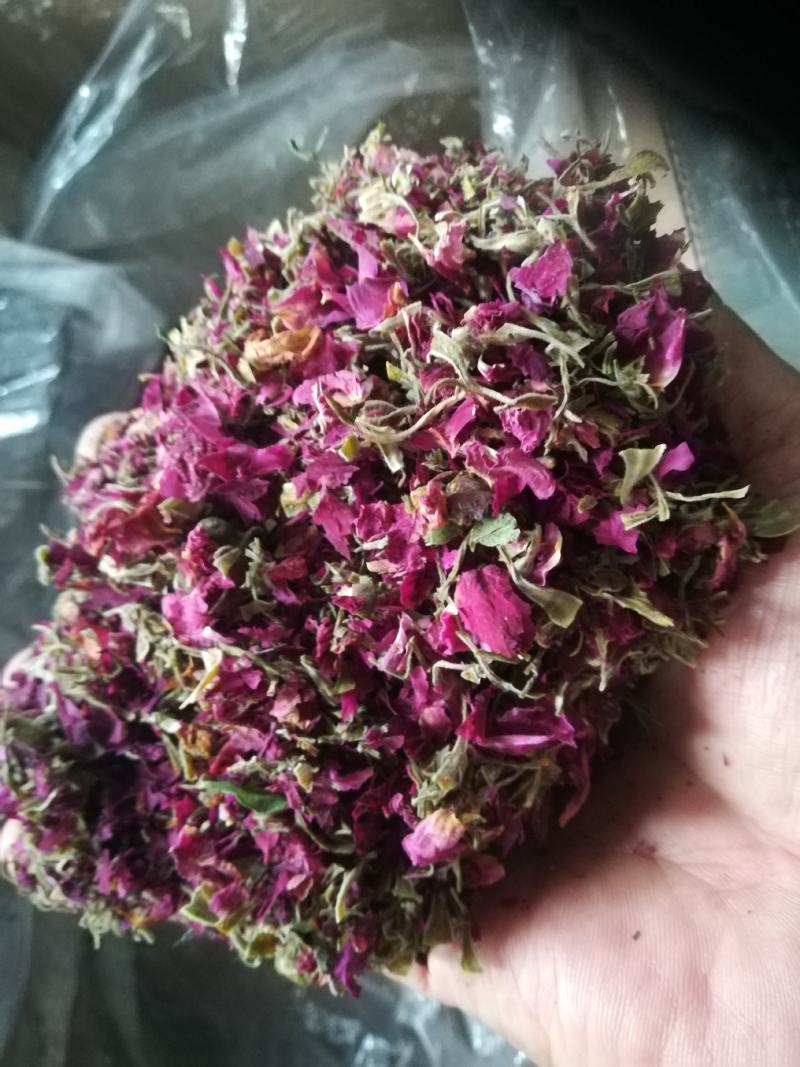 平阴玫瑰花托万亩玫瑰种植加工基地