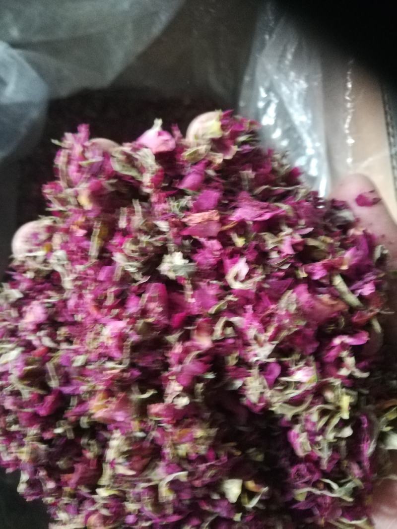 平阴玫瑰花托万亩玫瑰种植加工基地