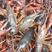 洪湖小龙虾青虾全年大量供货品质保证规格齐全