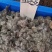 优质新疆西藏雪莲花无杂净货规格齐全量大从优