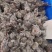 优质新疆西藏雪莲花无杂净货规格齐全量大从优