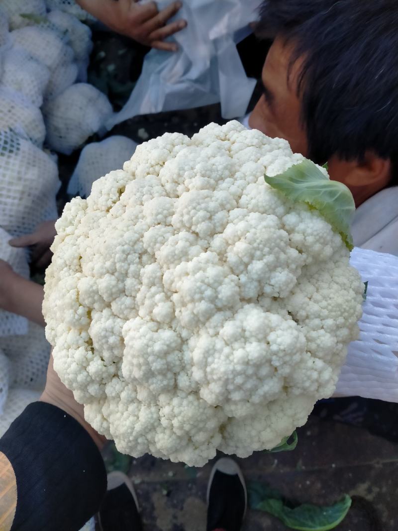 菜花