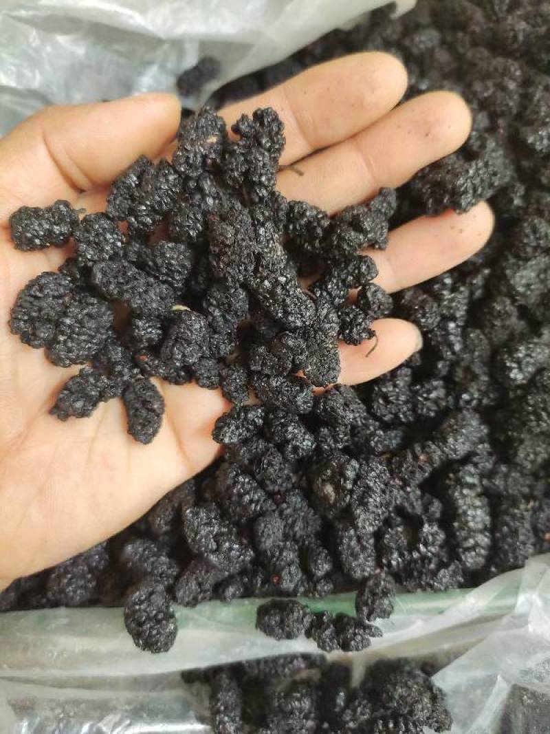 新疆桑葚果干货无添加硫熏保持原生态批发供应产地直发一手