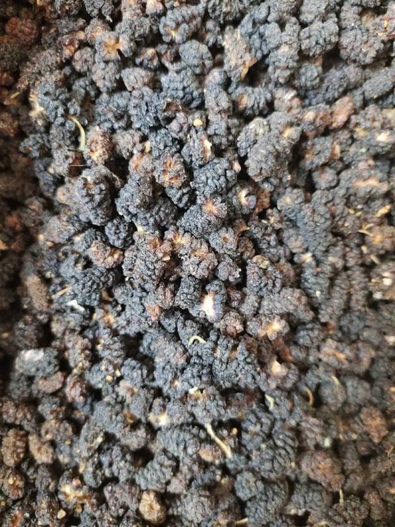 新疆桑葚果干货无添加硫熏保持原生态批发供应产地直发一手