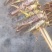 烧烤蚂蚱串
