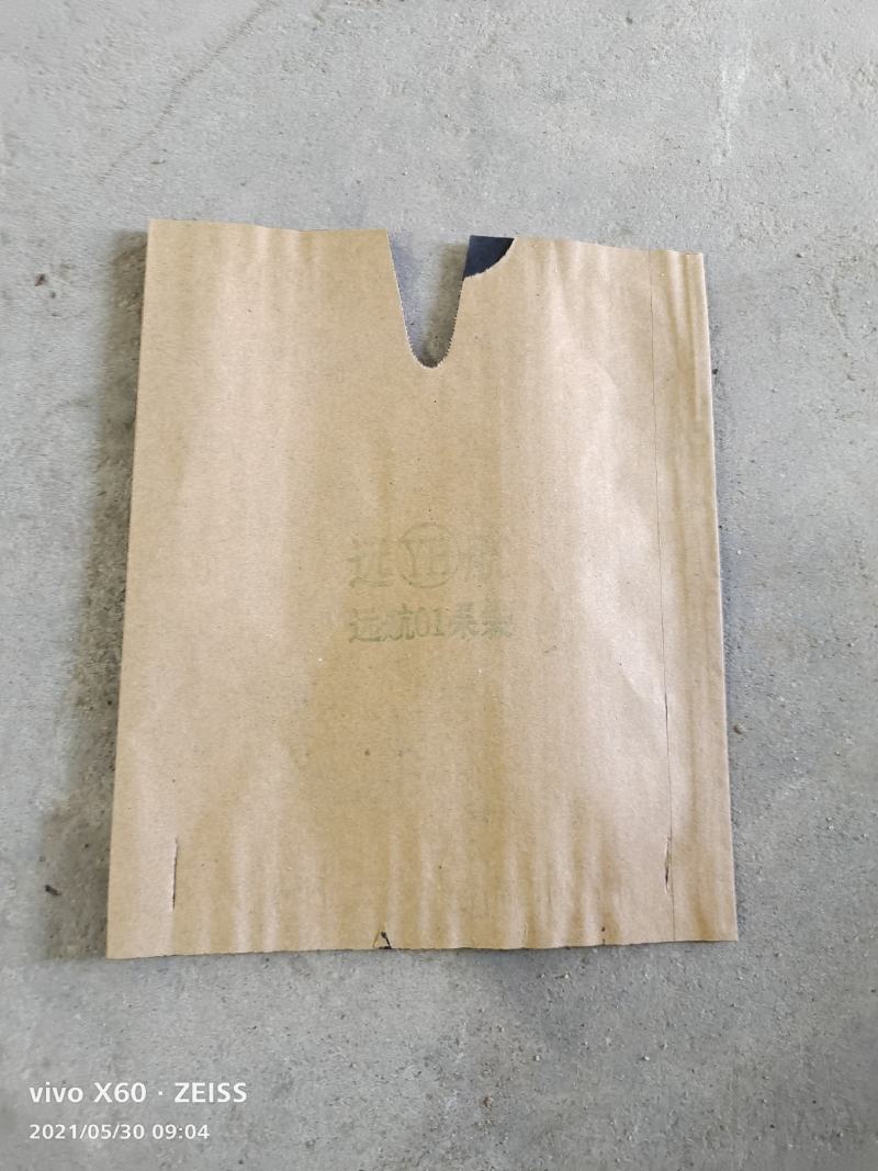 双层桃袋，高防水木桨加腊黑双光，每袋5000，质量保证