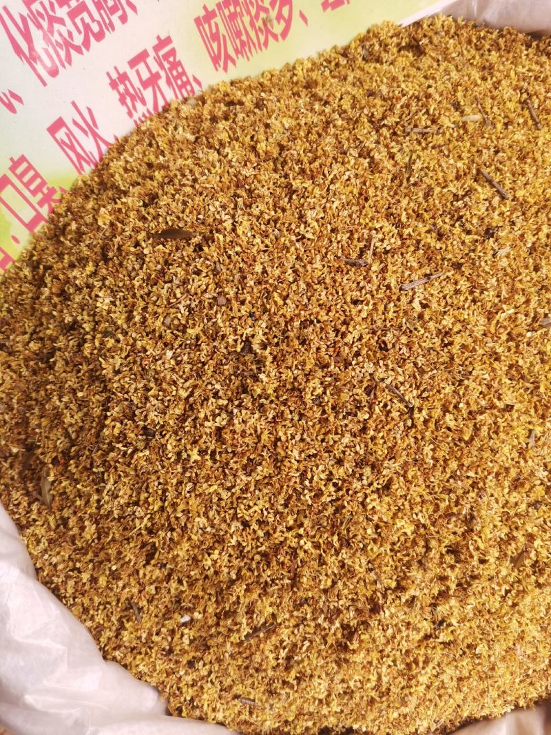 优质大西南桂花无杂净货规格齐全量大从优