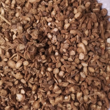 优质山东牛蒡根无杂净货无硫量大从优欢迎选购