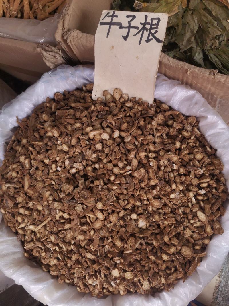 优质山东牛蒡根无杂净货无硫量大从优欢迎选购