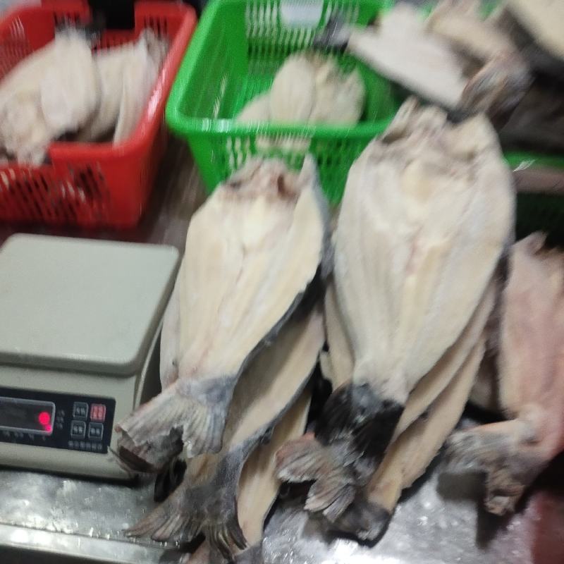 处理开背鱼，7-8-9-10-11条开背鱼