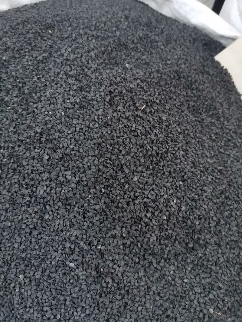 优质韭菜子干净无杂量大从优欢迎选购