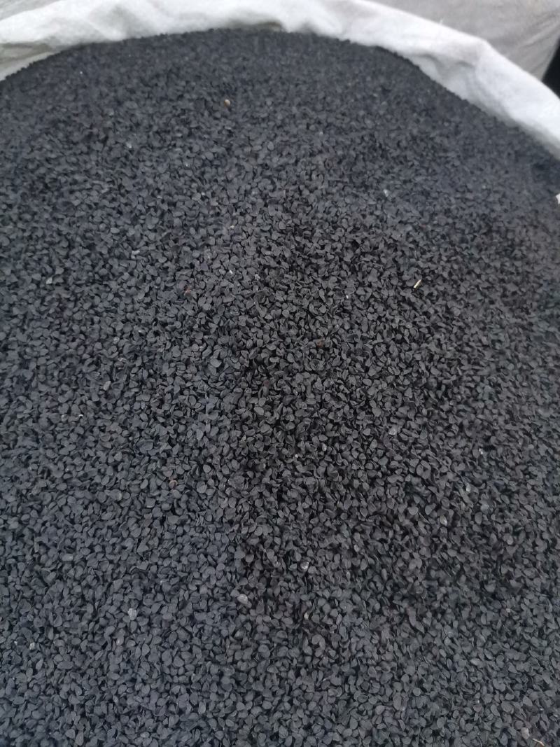 优质韭菜子干净无杂量大从优欢迎选购
