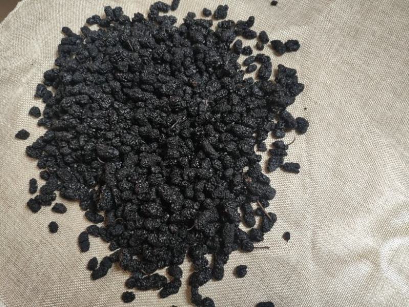 新疆桑葚果干货无添加硫熏保持原生态批发供应产地直发一手