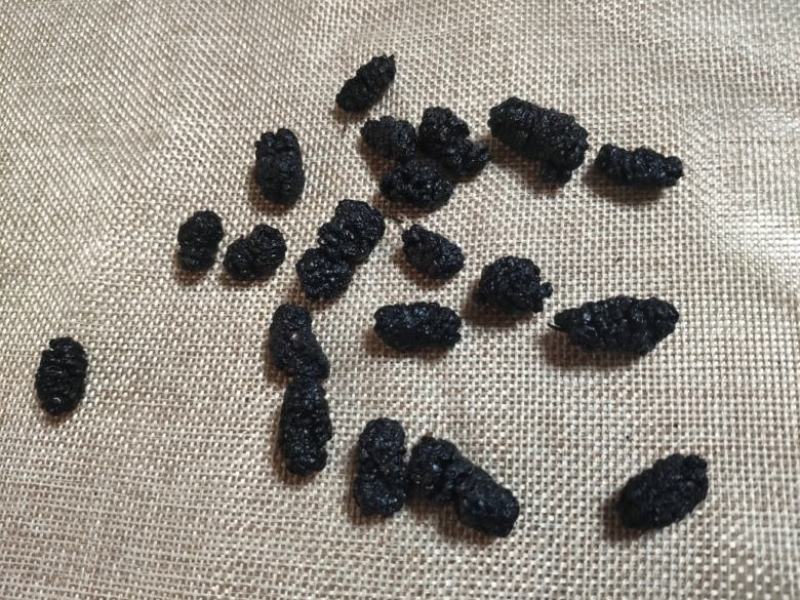 新疆桑葚果干货无添加硫熏保持原生态批发供应产地直发一手