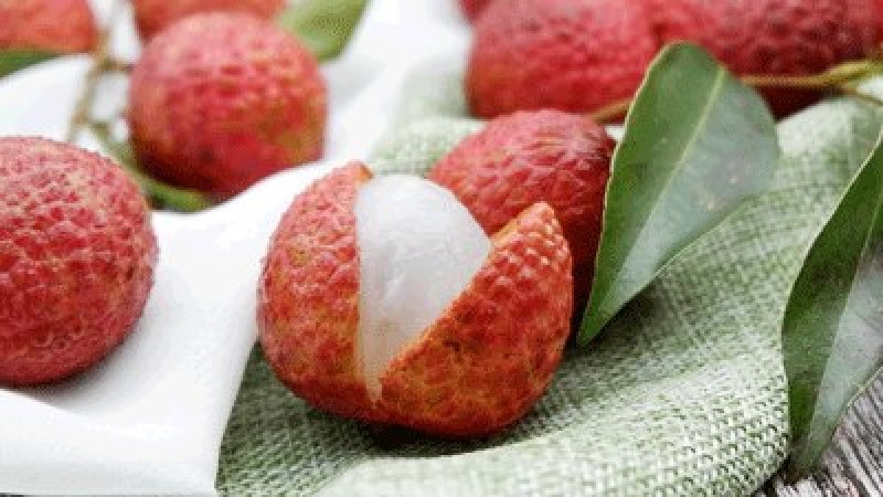 高州荔枝