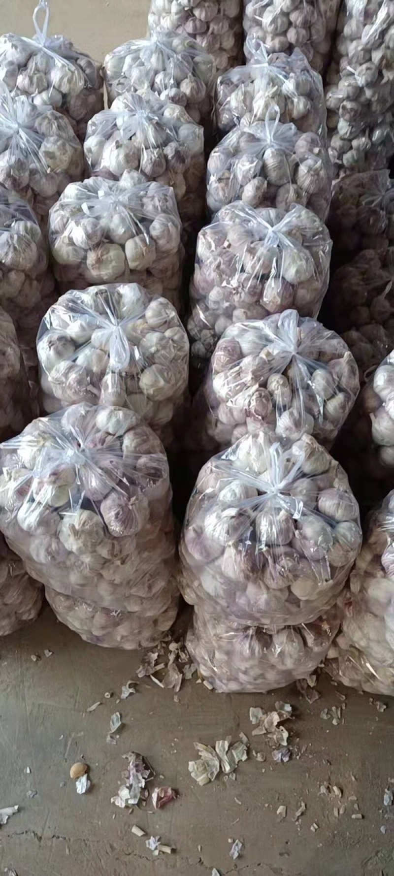 河南周口淮阳干大蒜大量上市中，脱水蒜，扒米蒜，商超市场！