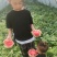 8424西瓜大棚种植