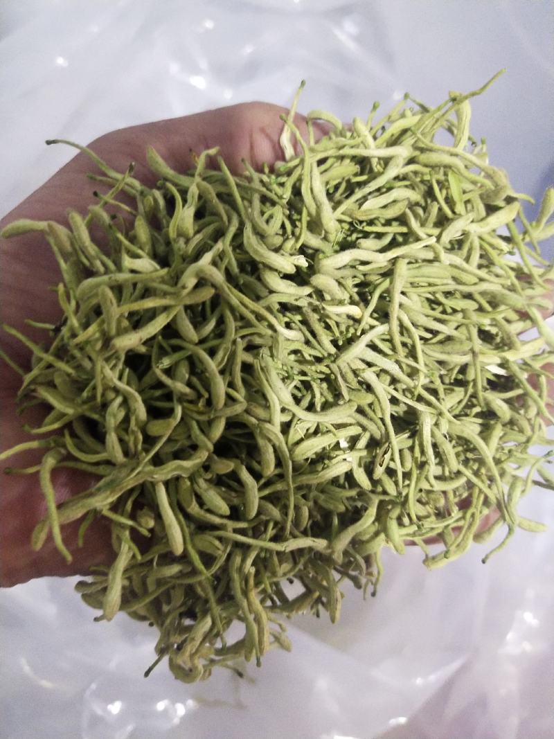 金银花